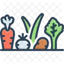 Potager Legume Verdure Icône