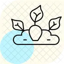 Potager Avec Etiquettes Legume Patch Icône