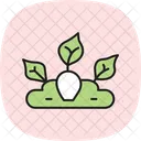 Potager Avec Etiquettes Legume Patch Icône