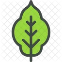 Potato Leaf Nature Icon
