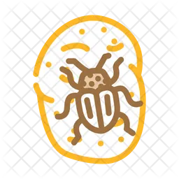 Potato Colorado Beetle  Icon