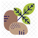 Potato Icon