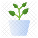 Pothos Plant Icon