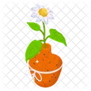 Potted Flower  Icon