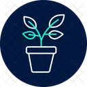 Potted Herb Plants Potted Herb Icon