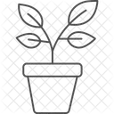 Potted Herb Plants Icon