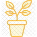 Potted Herb Plants Potted Herb Icon