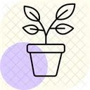 Potted Herb Plants Potted Herb Icon