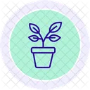 Potted Herb Plants Potted Herb Icon