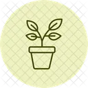 Potted Herb Plants Potted Herb Icon