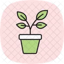 Potted Herb Plants Icon