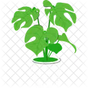 Monstera Plant Leaves Icon