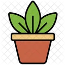 Potted Plant Plant Indoor Plant Icon