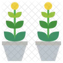 Potted Pottedplant Garden Icon