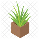 Potted Plant Garden Plant Plant Growing Icon