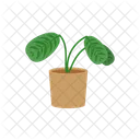 Flower Plant Potted Icon