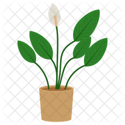 Potted plant  Icon