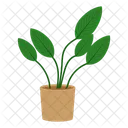 Potted plant  Icon
