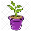 Plant Growth Potted Plant Nature Icon