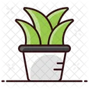Potted Plant Indoor Plant Natural Plant Icon