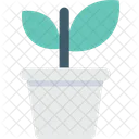 Potted Plant Small Icon