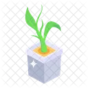 Plant Potted Plant Growing Plant Icon