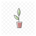 Plant Houseplant Potted Icon