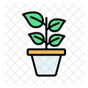 Potted Plant Indoor Plant Plant Icon