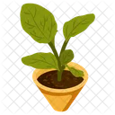 Potted Plant  Icon