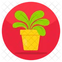 Potted Plant  Symbol