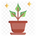 Potted Plant Flower Pot Plant Icon