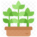 Potted Plant Pot Icon