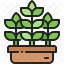 Potted Plant Pot Icon