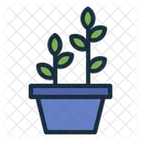 Potted Plant Leaves Indoor Plant Icon