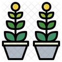 Potted Plant Garden Icon