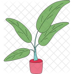 Potted plant  Icon