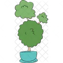 Potted Plant Plant Indoor Plant Icon