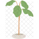 Potted plant  Icon