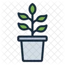 Potted Plant Plant Grow Icon
