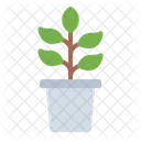 Potted Plant Plant Grow Icon