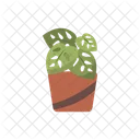 Potted Plant  Icon