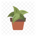 Plant Indoor Plant Ecology Icon