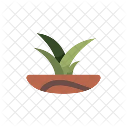 Potted Plant  Icon