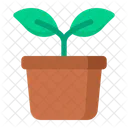 Potted Plant Plant Gardening Icon