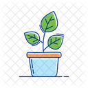 Potted Plant Indoor Plant Plant Icon