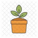 Potted Plant Plant Indoor Plant Icon