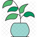 Potted Plant  Icon