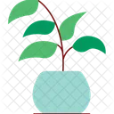 Potted Plant  Icon