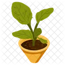 Potted Plant  Icon