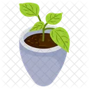 Potted Plant  Icon